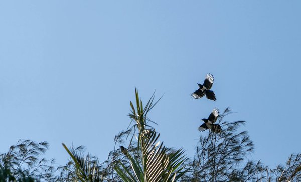 Dix recettes approuvées par un nutritionniste pour une vie saine