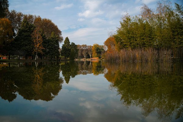 Recherche médicale et mieux-vivre de la peau des seniors